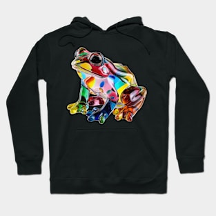 Colourful Crystal Glass Frog Figurine Hoodie